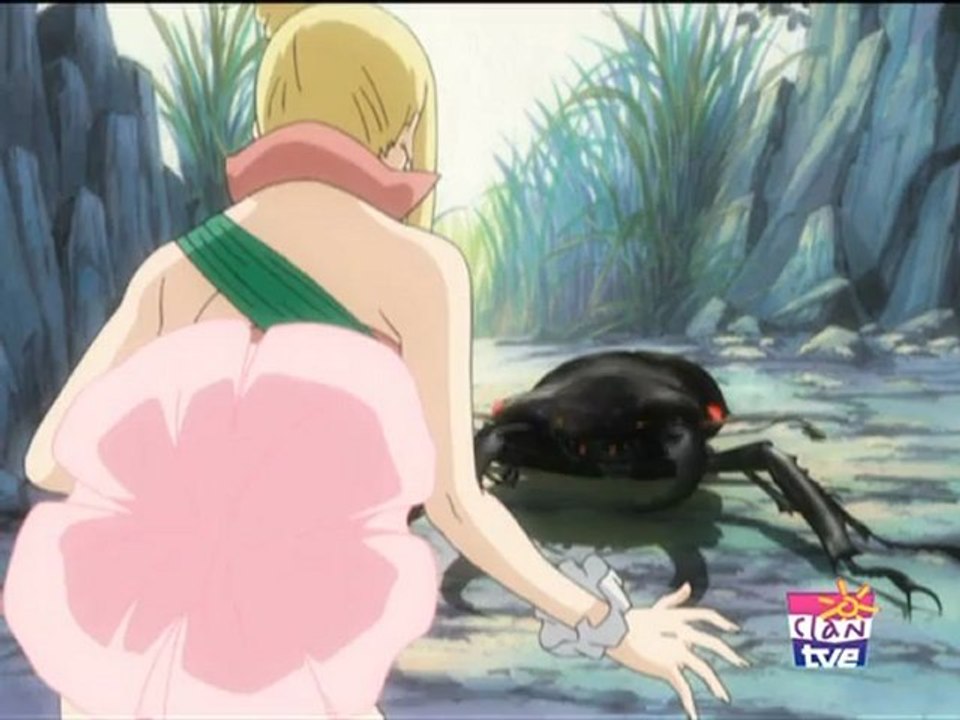 Mushiking cap 12 Otro chico