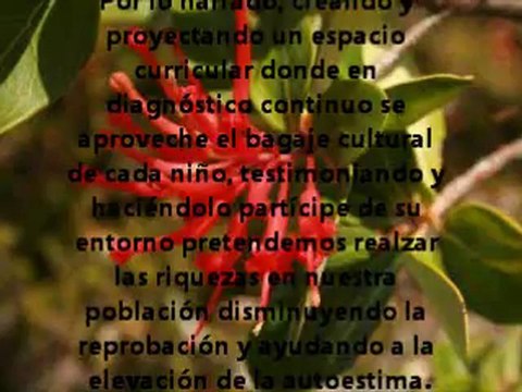 proyecto santa cruz egb 86