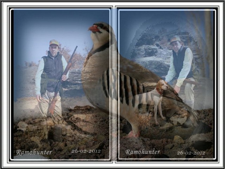 İKİ KEKLİK BİR KAYADA ÖTÜYOR.