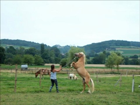 Premiers Cabrés marchés d'Altaya