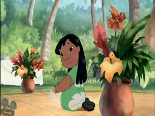 LS 113 - Expérience 032 Fibber