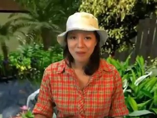 Critters - New York Critters Pocket Guide Review