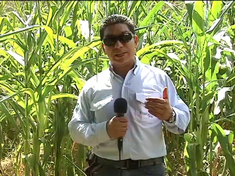 PAISAGRO Julio 9 de 2012