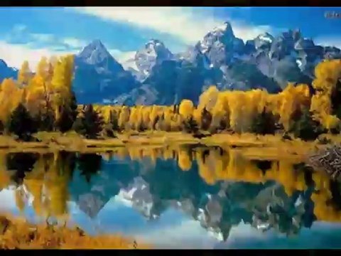 SaKaRYa BoScH 0264 271 36 36