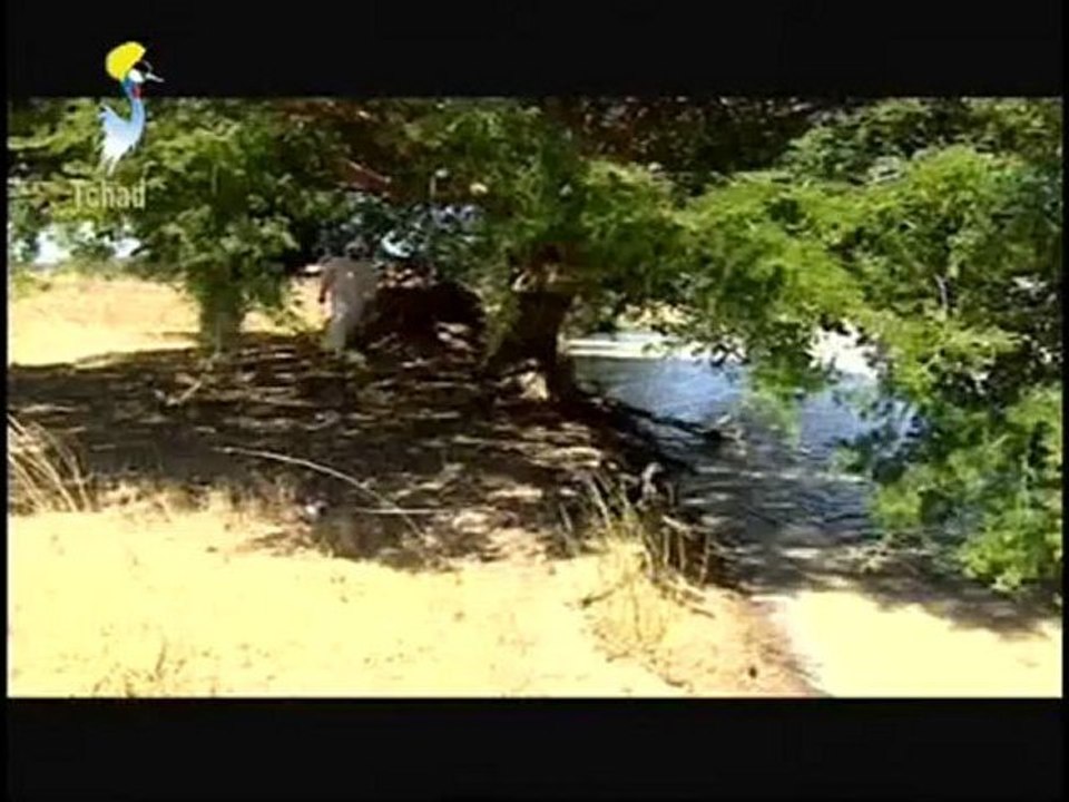 VOYAGE AU TCHAD DU 09 JUILLET 2012 REGARDER SUR TOL