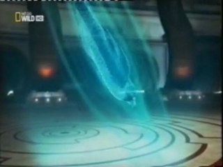 El halcon peregrino: Velocidad mortal (300 kms/h)