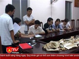 ANTÐ - Bắt đối tượng vận chuyển khối lượng lớn xương động vật hoang dã, quý hiếm