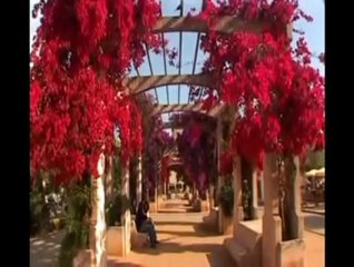 Festival du polar à Ajaccio