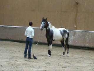 Immobilité 10 secondes puis Envoyer