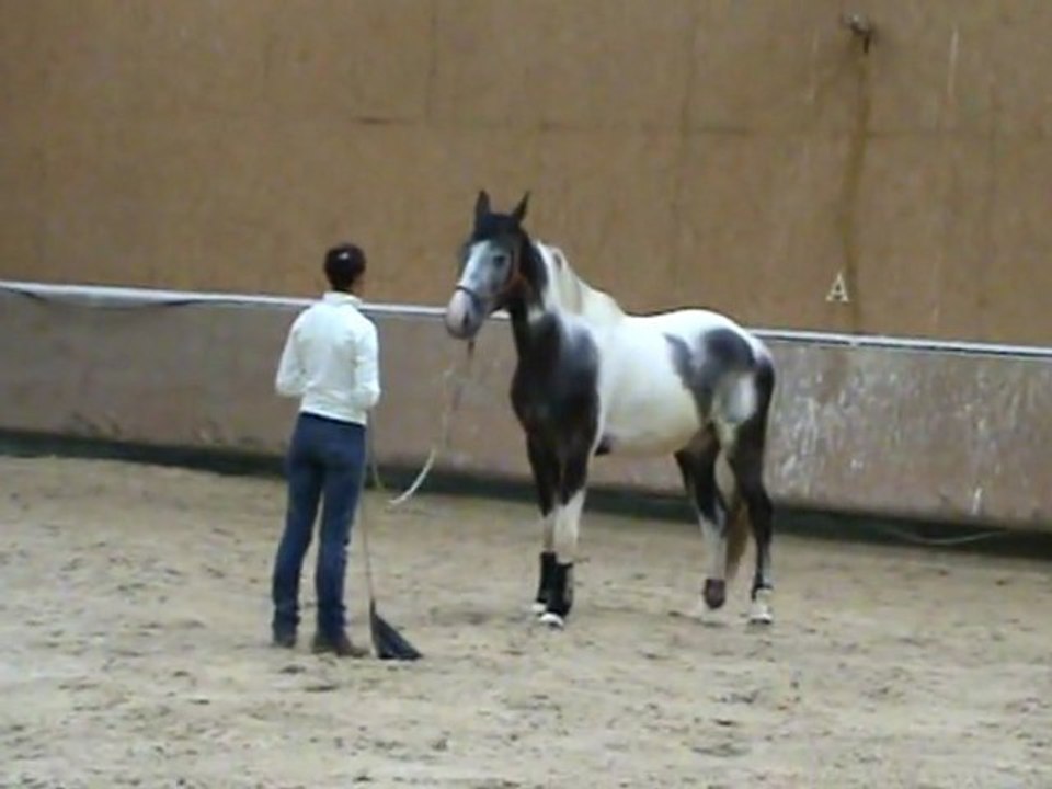 Immobilité 10 secondes puis Envoyer