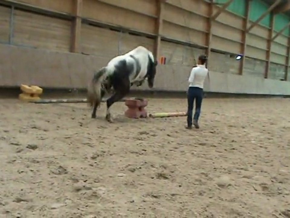 Cercler - Sauter  un croisillon ..