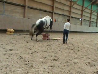 Cercler - Sauter  un croisillon ..