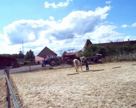 longe main droite 06 07 12