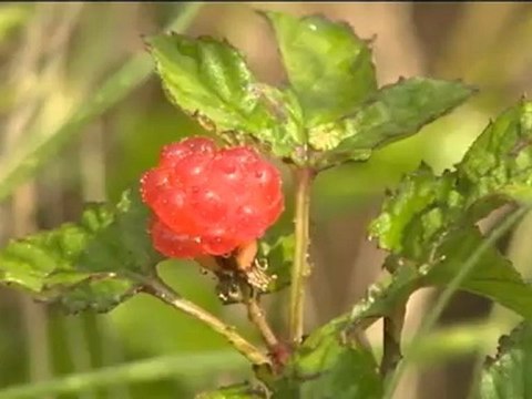 20120708 ai_takahashi