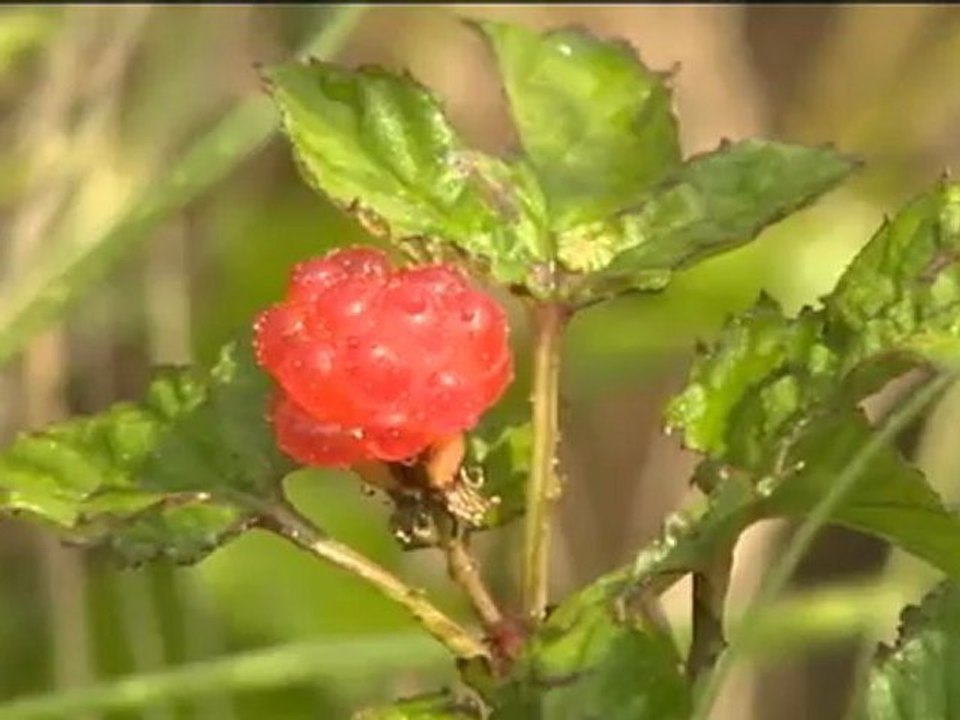 20120708 ai_takahashi