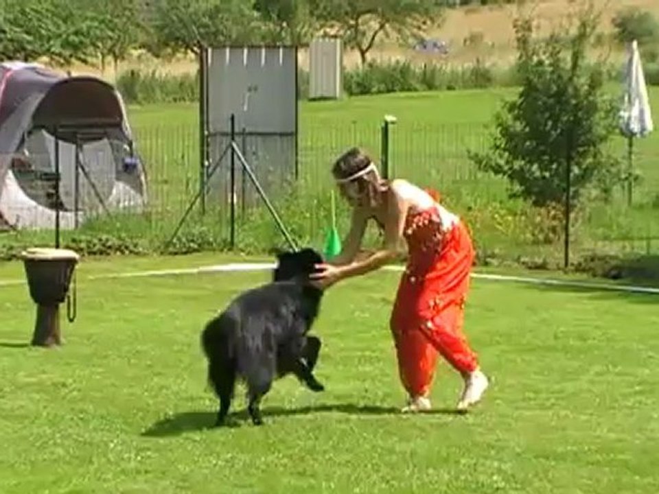 OBR Dambenois 2012