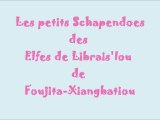 Les chiots Schapendoes de Foujita Xiangbatiou
