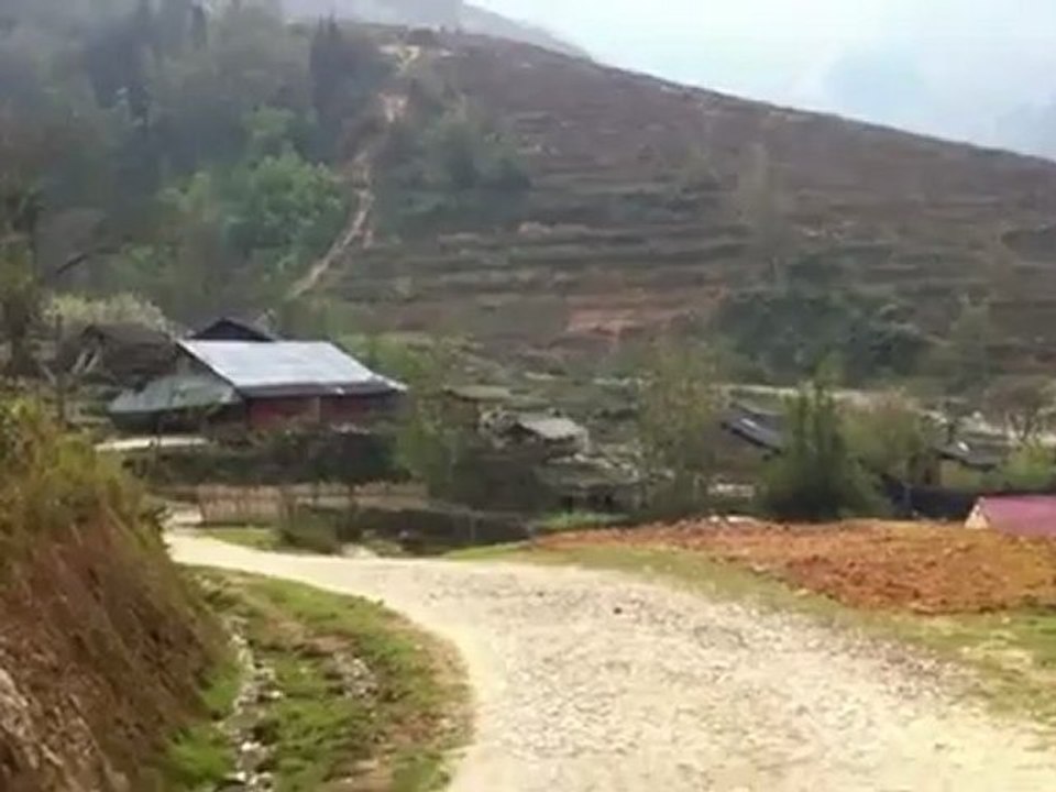 Paysage panoramique Vallée Ta Phin et Ma Tra (Région de Lao Cai, proche de Sapa)