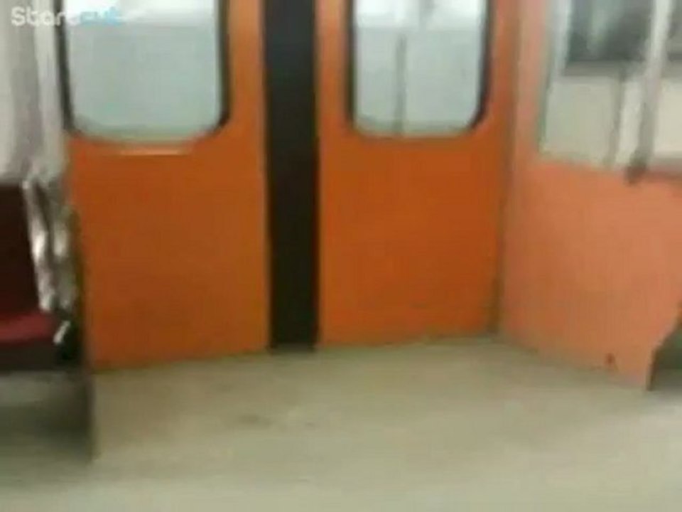Pigeon Rides the Subway.