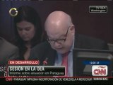 Insulza rechaza suspender a Paraguay de la OEA y apuesta por otra misión