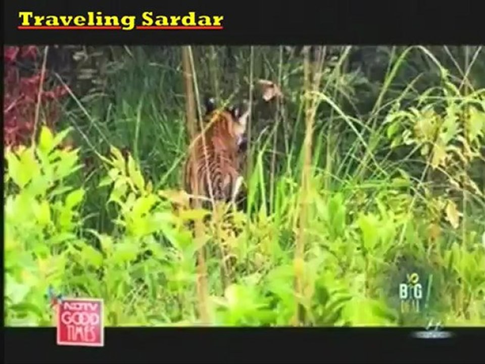 Bhandavgarh and Panna (Madhya Pradesh)