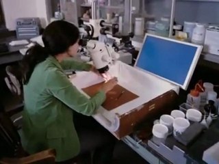 Les Dinosaures vivants