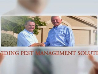 The Best PEST CONTROL in TUCSON AZ | AZPest.com | 520-886-7378