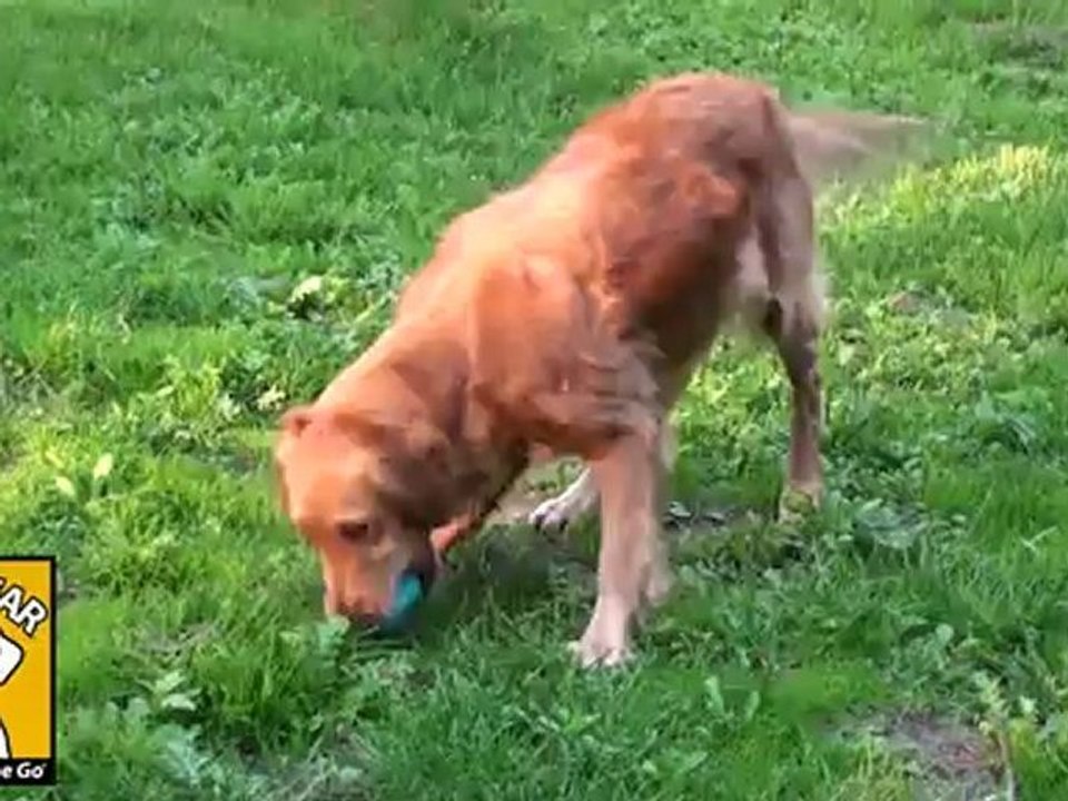 Ruffwear Hundespielzeug Spielzeug für Hunde