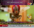 Box Office - Tollywood Latest Film News - 05th Apr 12 - 03