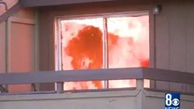 Кот спасается от пожара