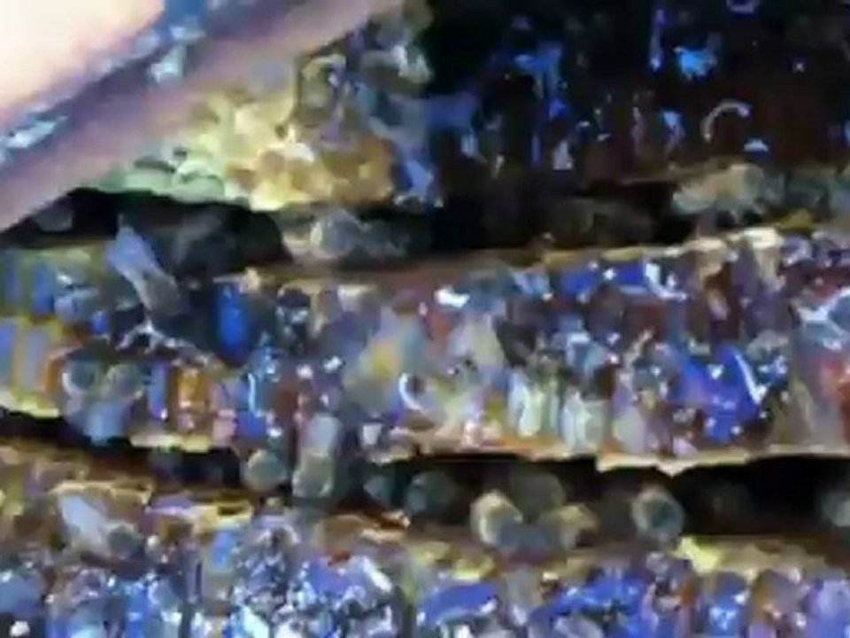 Part: 3 Live Bee Removal By Bee Green Natural Bee ...