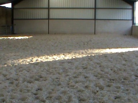 trot rassemblé reculer trot M2U03903