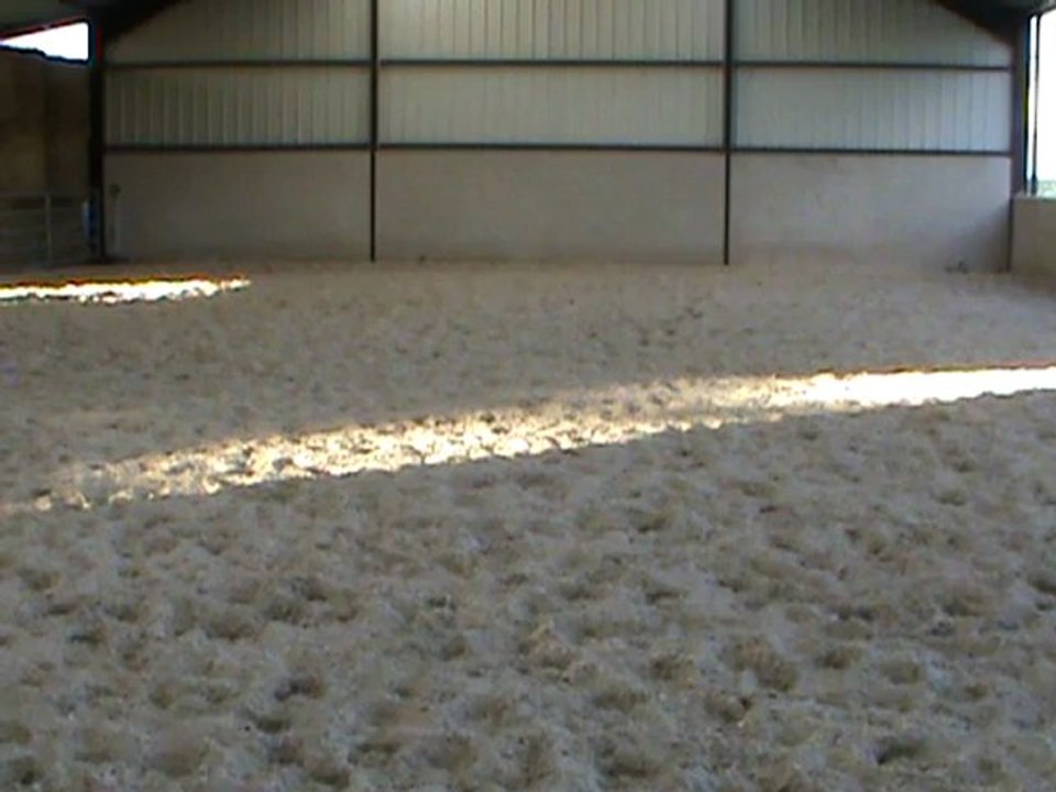 trot rassemblé reculer trot M2U03903