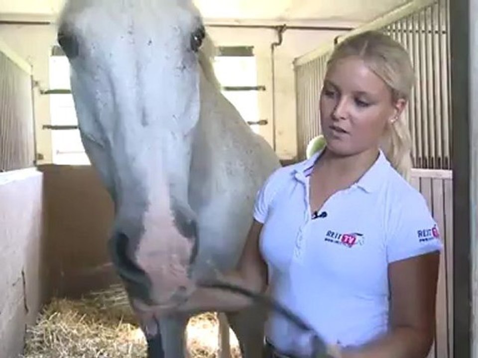 Leading the Horse out of its Loose-Box