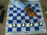 Movements And Relative Strengths Of Chessmen (Basics Of Chess Pieces)