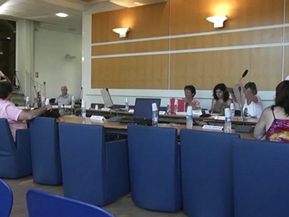 Conseil municipal 10 juillet 2012