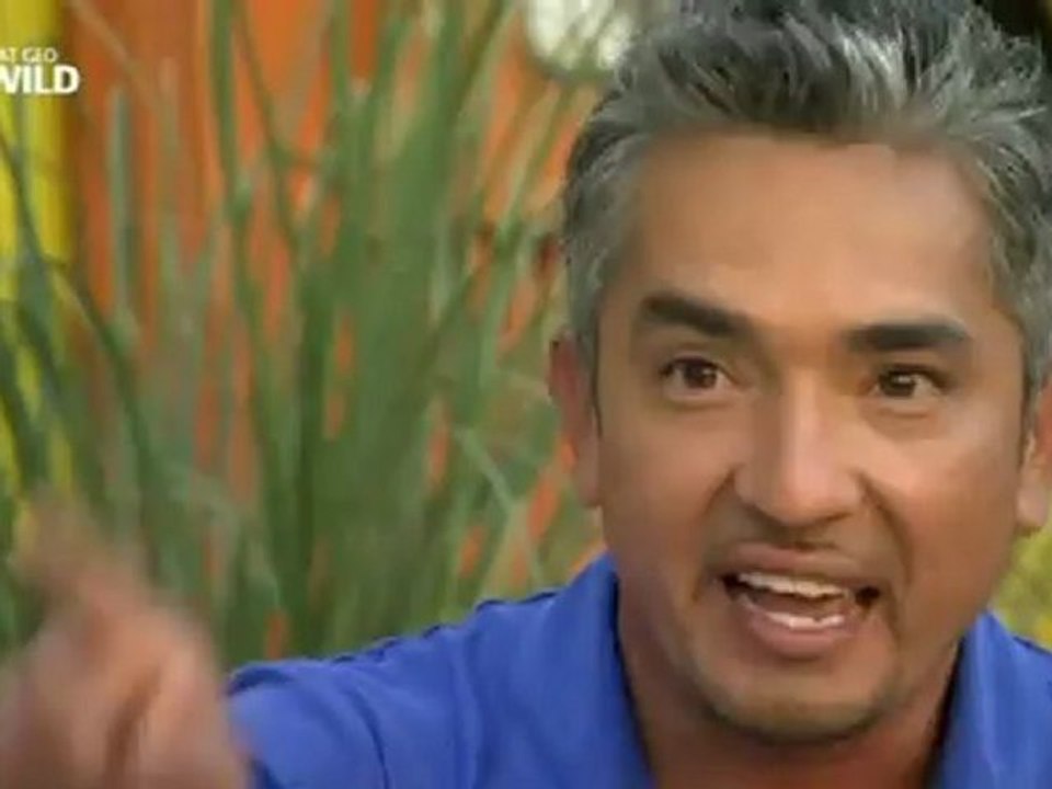 Freestyle Cesar Millan the Dog Whisperer