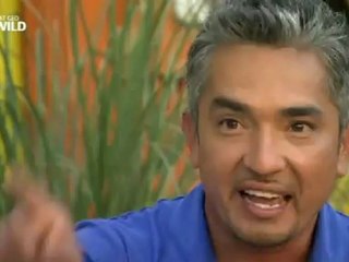 Freestyle Cesar Millan the Dog Whisperer
