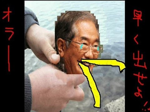 尖閣　しんたろ鵜