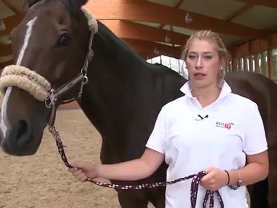 The lead-rope - How to lead a horse