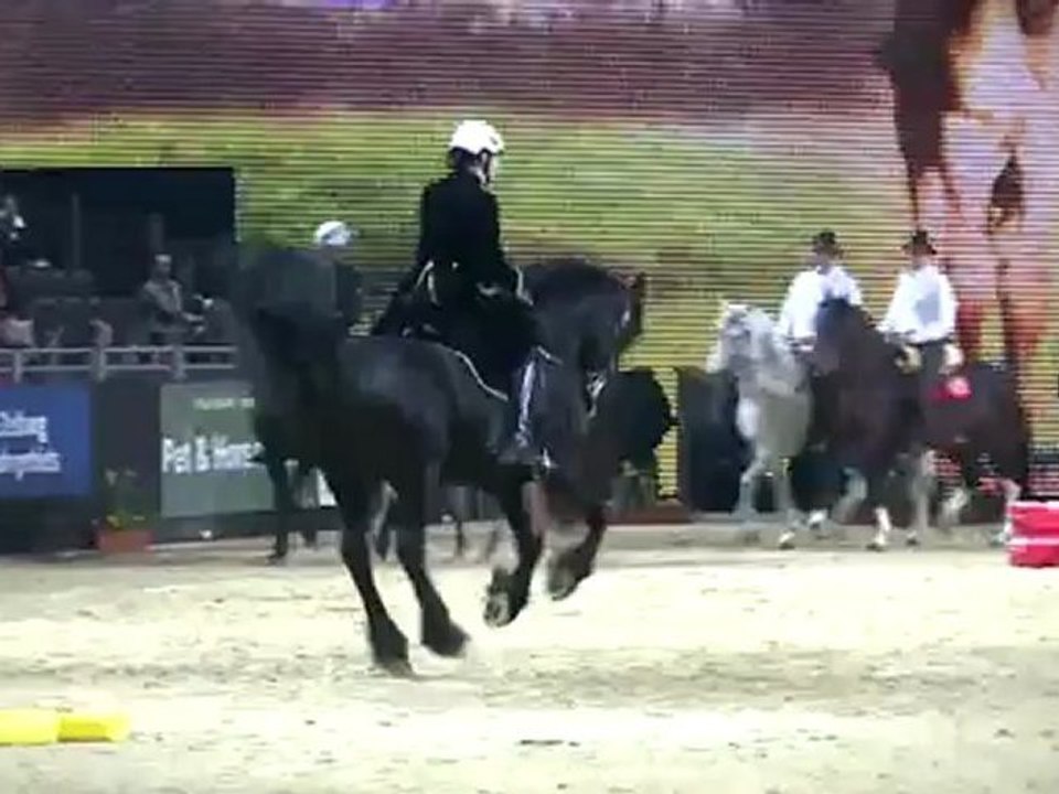 Horses