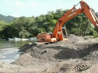 Turtle eggs crushed by machinery at Trinidad reserve
