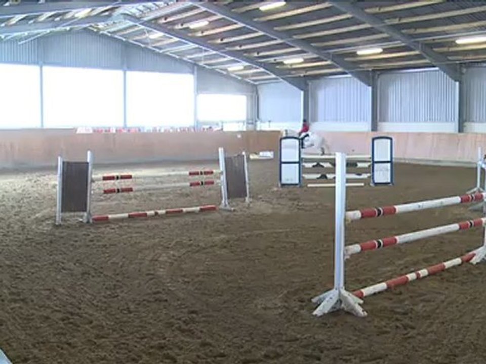 Show Jumping Series Part 3 - Entry into a successful training