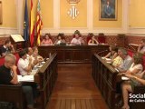 PLE ORDINARI MES DE JUNY 2012