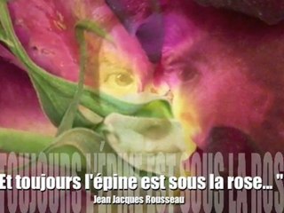 ... Et toujours l'épine est sous la rose : appel à écriture Rousseau et la Turquie