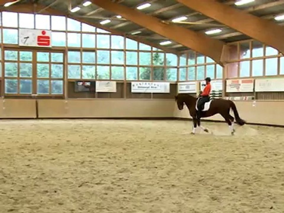 Straightness Training - Part 3/3