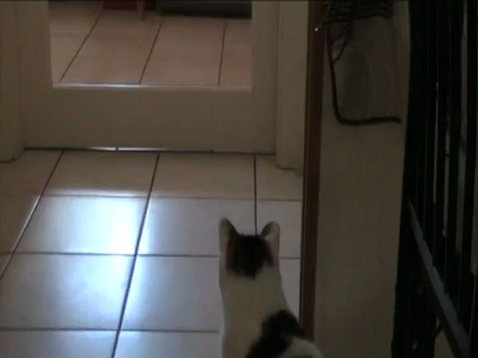 08 07 12 Sortilege 02