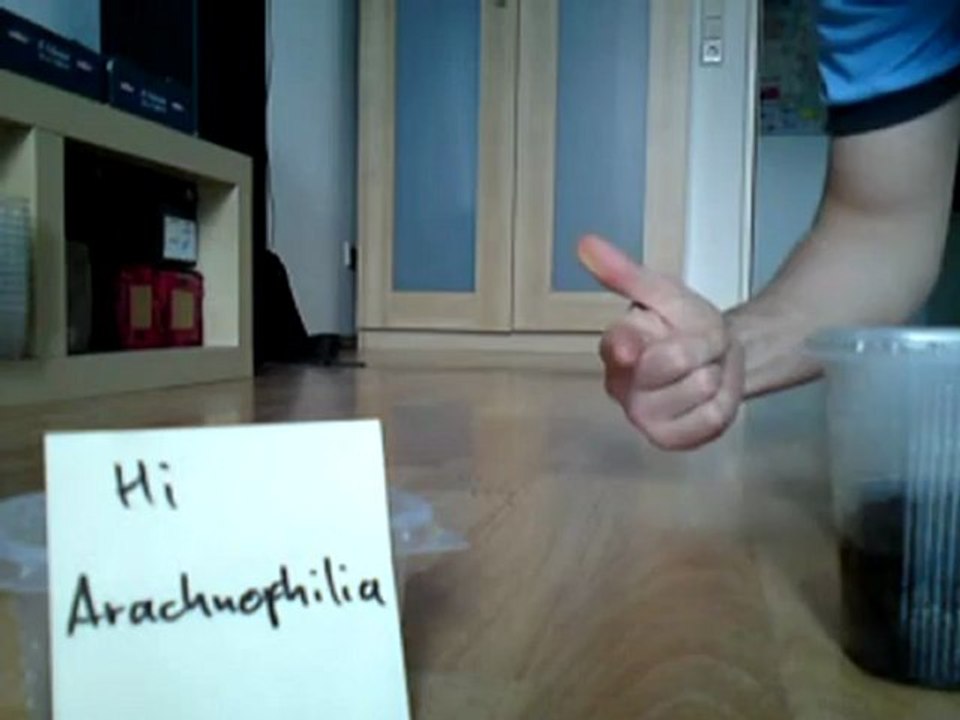 Das Imperium schlägt zurück