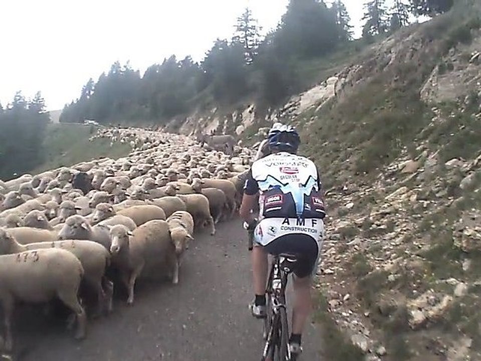 DFU 2012-Montons col d'Allos.30jun2012