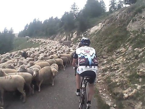 DFU 2012-Montons col d'Allos.30jun2012